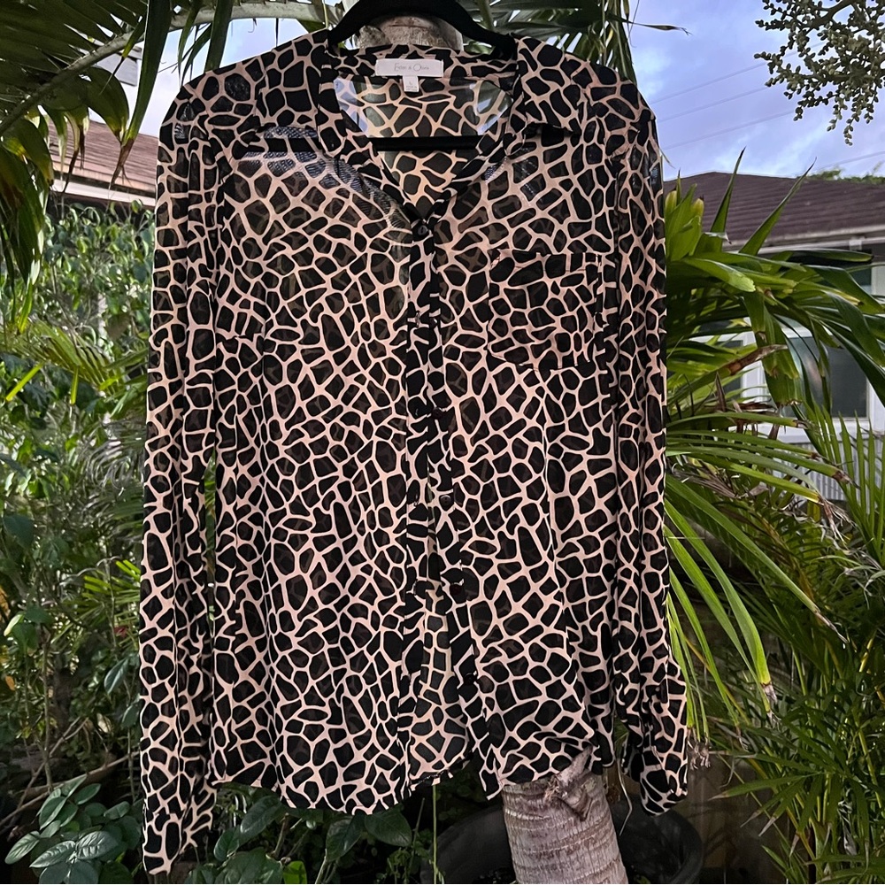 Eden and Olivia sheer blouse